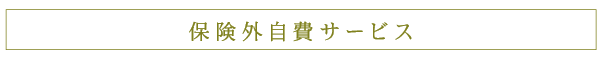 保険外自費サービス